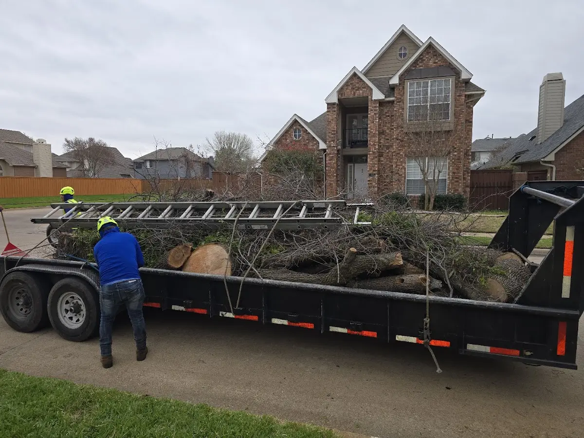 Expert Tree Fertilization with proper safety equipment in Powersville